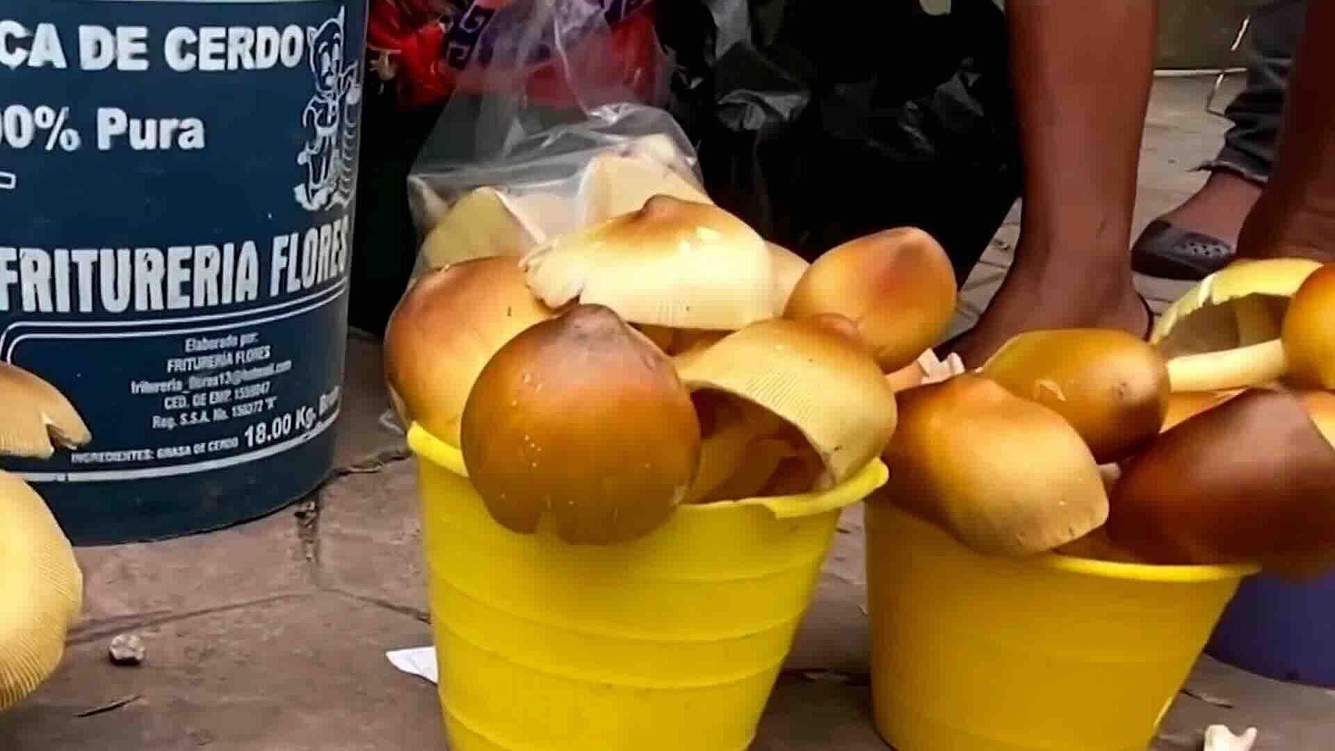 Foto | Tres Jóvenes Intoxicados por Hongos Venenosos en Comunidad Tzotzil de Chiapas