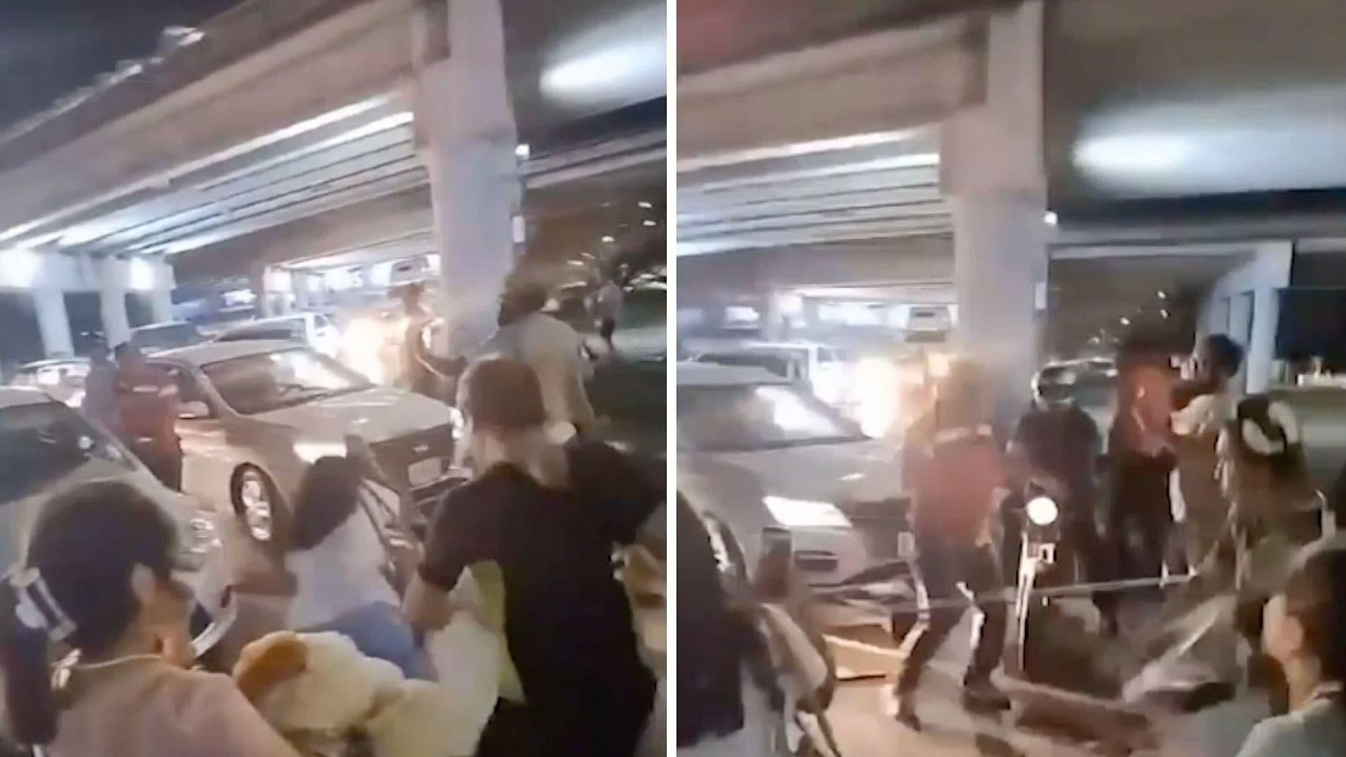 Activistas de Animales Denuncian Agresiones Durante Manifestación en Kanasín