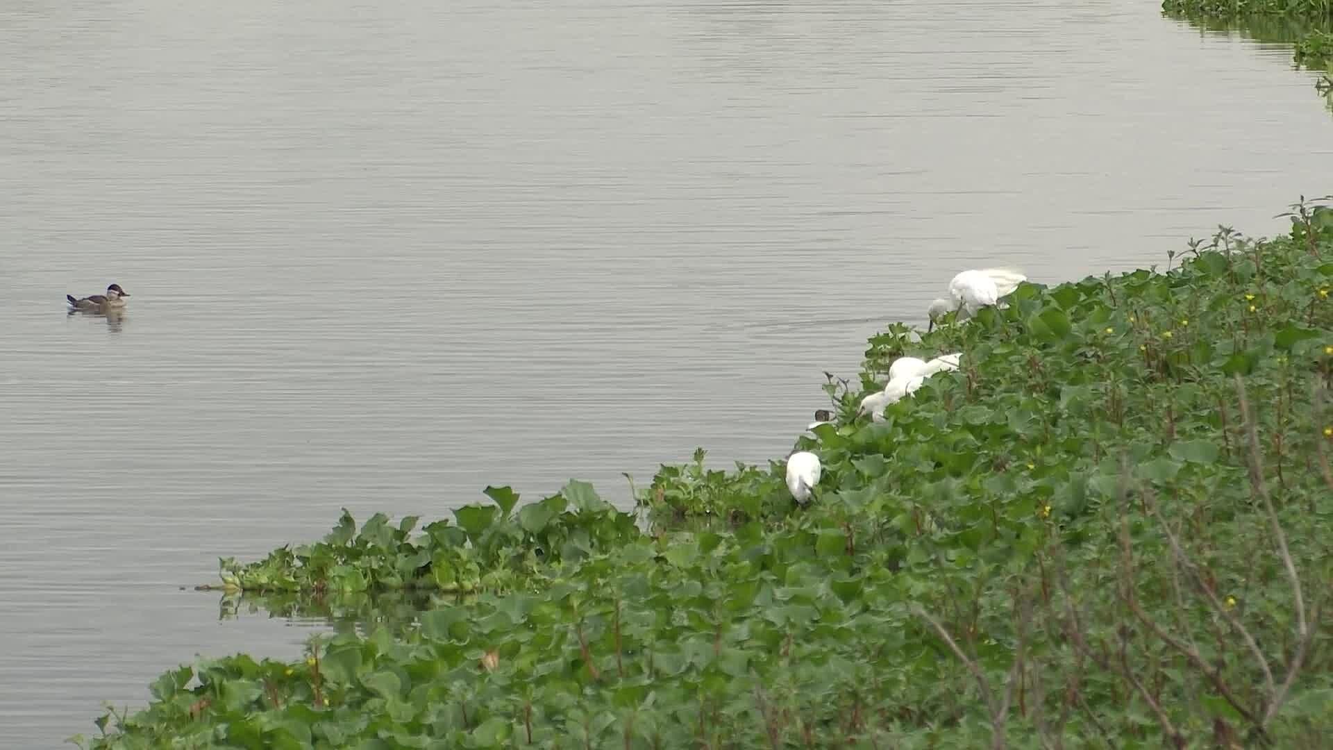 Presa La Venta en Querétaro se Llena por Primera Vez en Cinco Años, Reporta CONAGUA