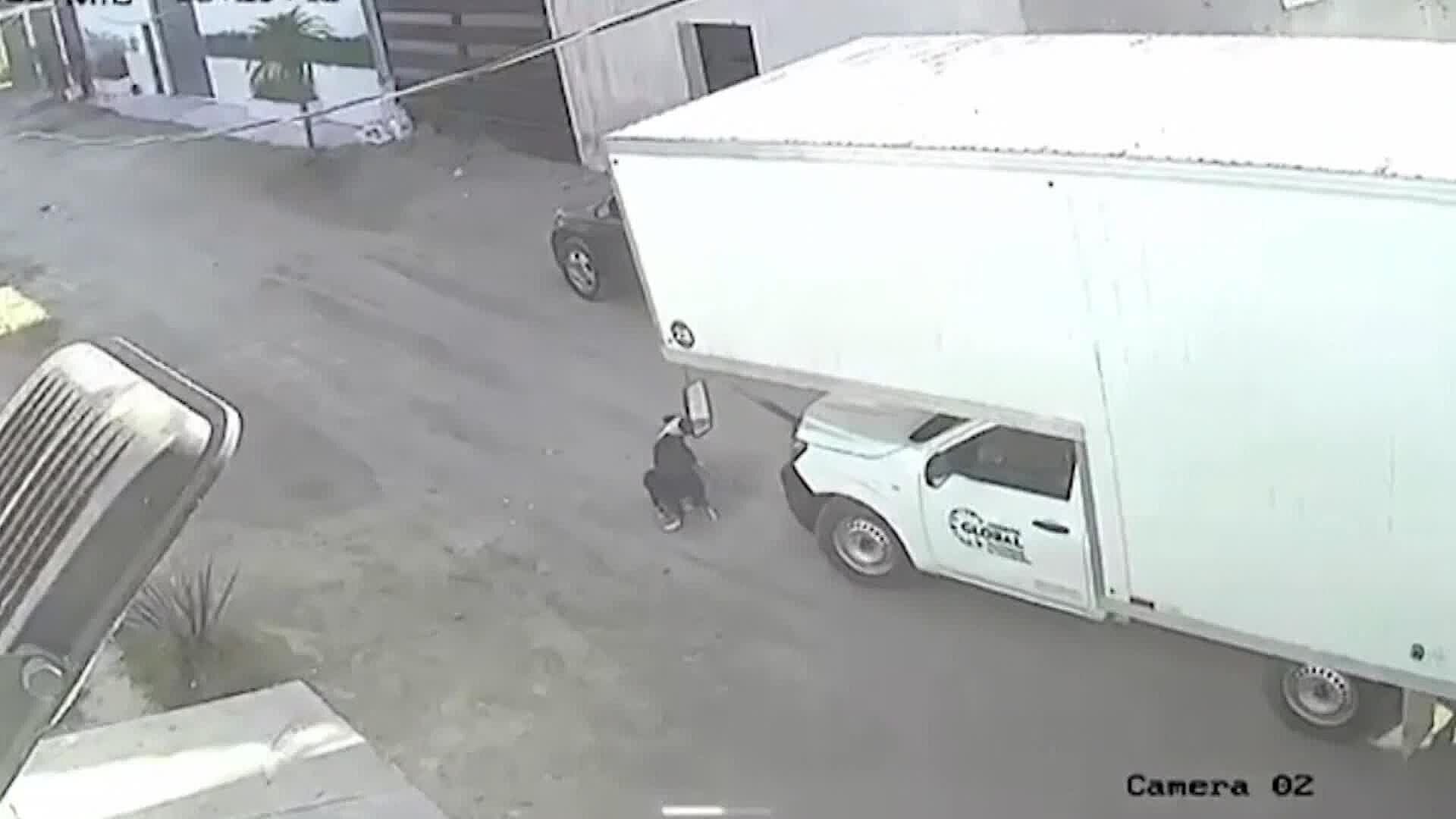 Dos Casos de Maltrato Animal en Contra de Perros se Captaron en Tonalá