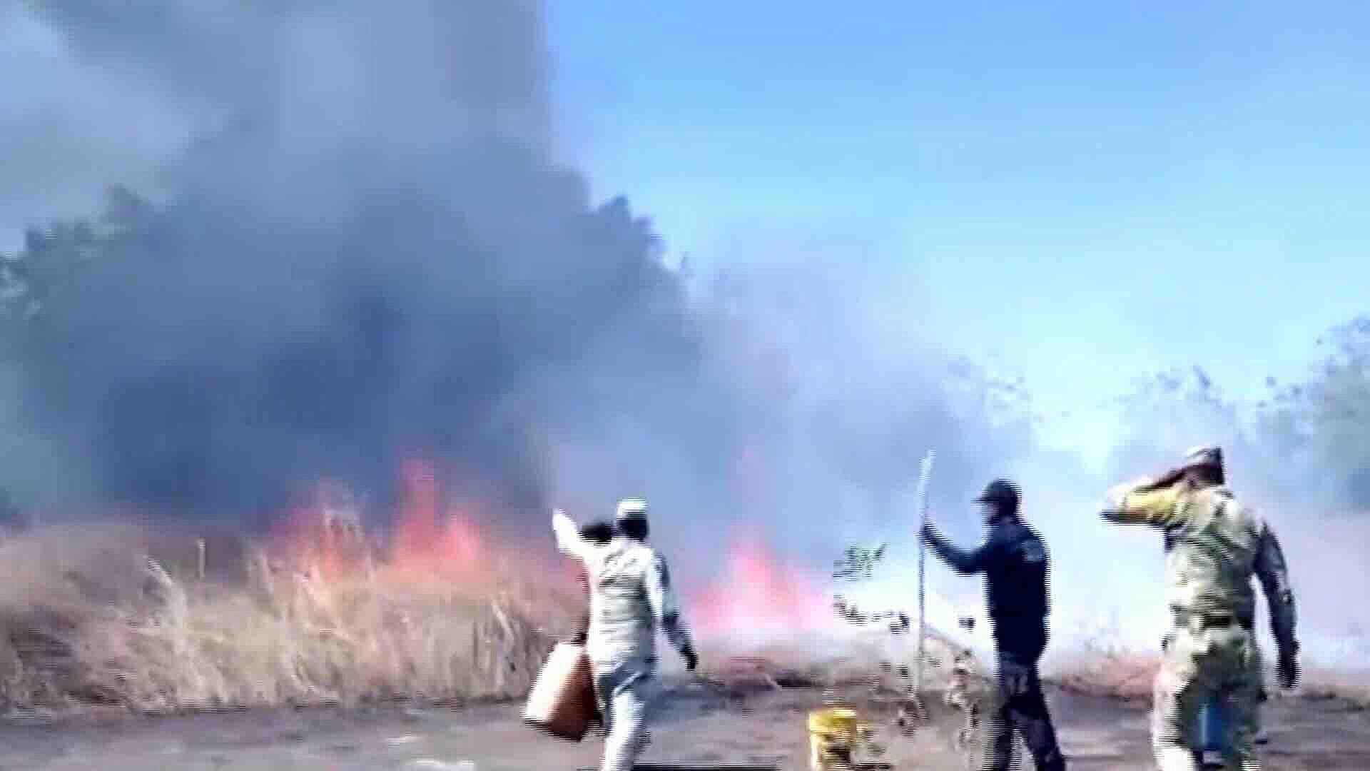 Incendio Devasta Pastizales en Tramo Tonalá-Pijijiapan, Chiapas; Viento Dificulta Labores