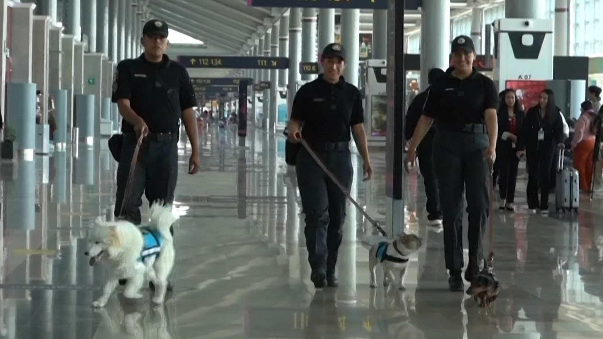 Escuadrón Canino Da Apoyo Emocional a Pasajeros del AIFA