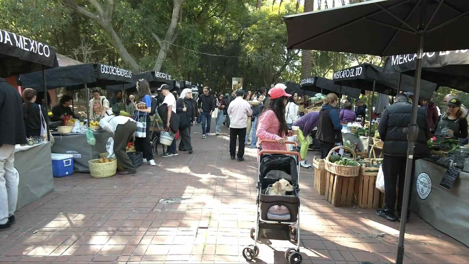 Pequeños Productores del Campo en el Valle de México Denuncian Dificultades para Vender sus Productos