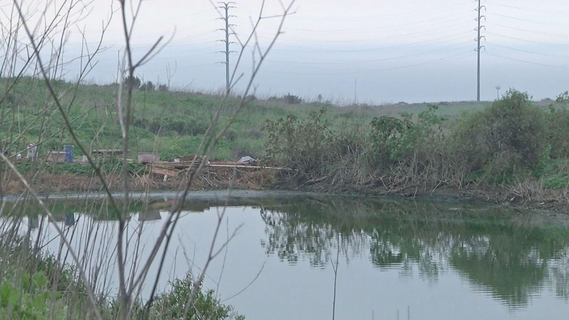 Denuncian Aguas Negras en Fraccionamiento Real del Mar; Exigen Solución
