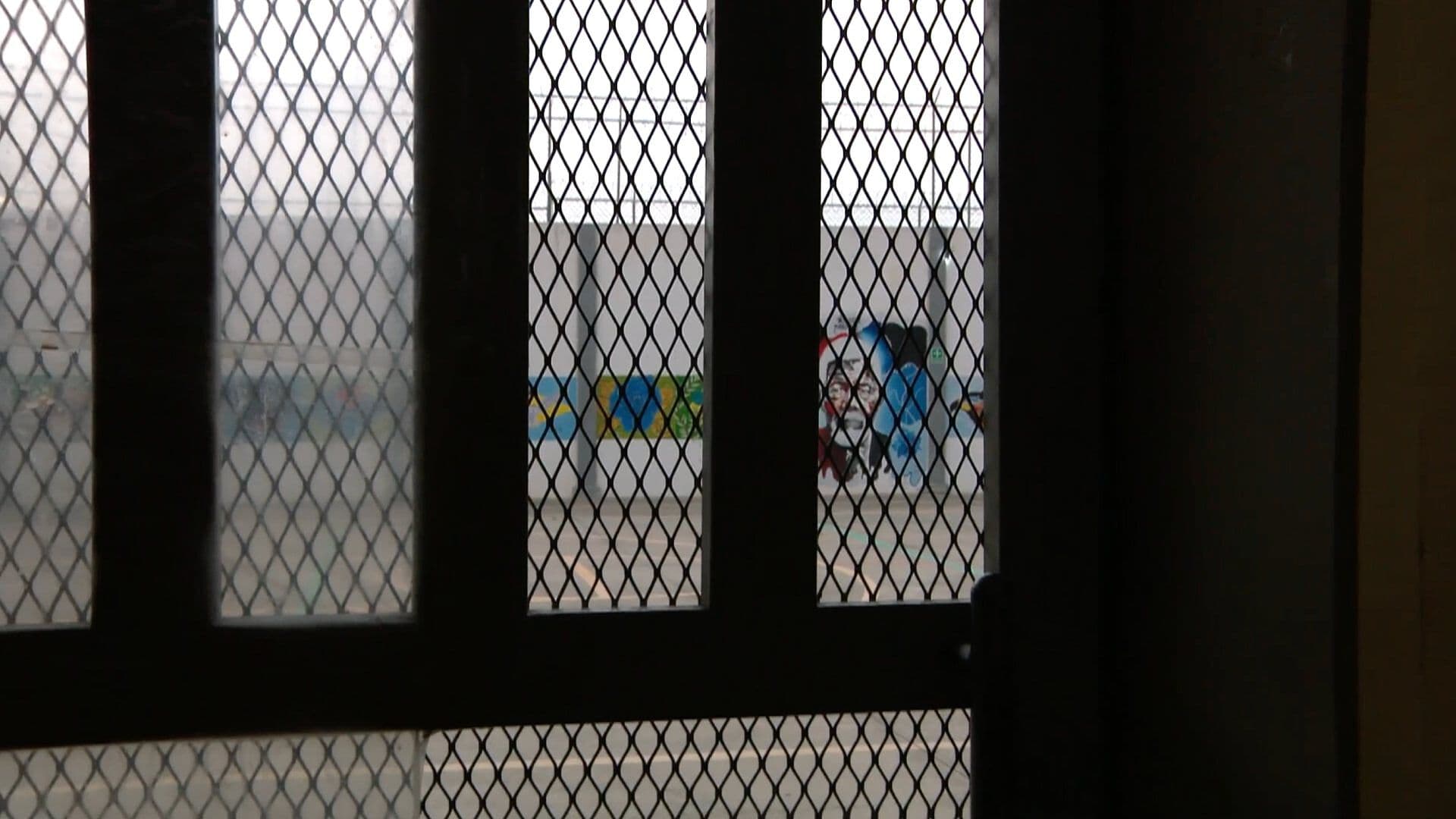 1777557037842-snapshot.jpg