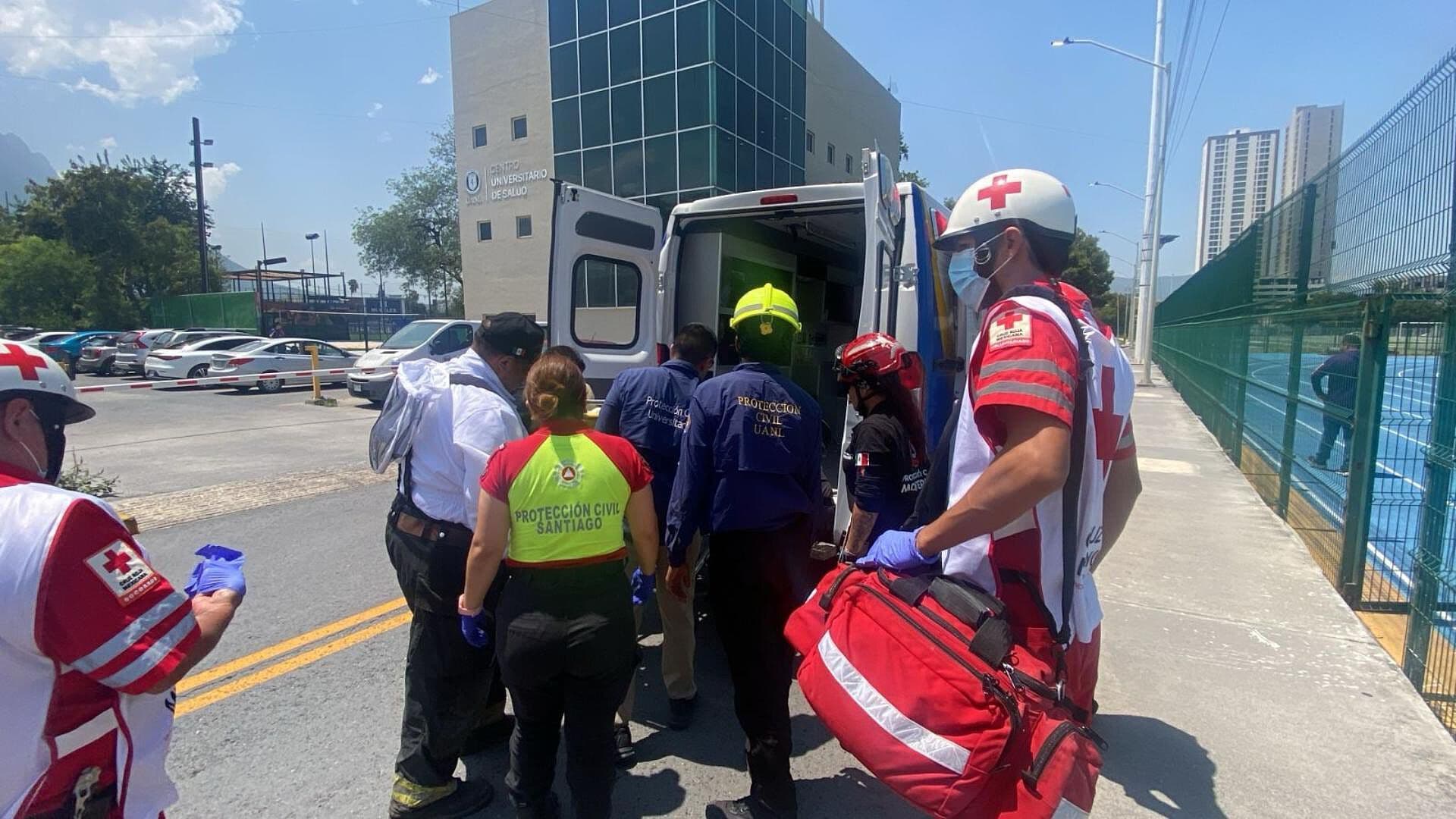 Reportan un Muerto y Dos Heridos tras Ataque de Abejas en Santiago, Nuevo León