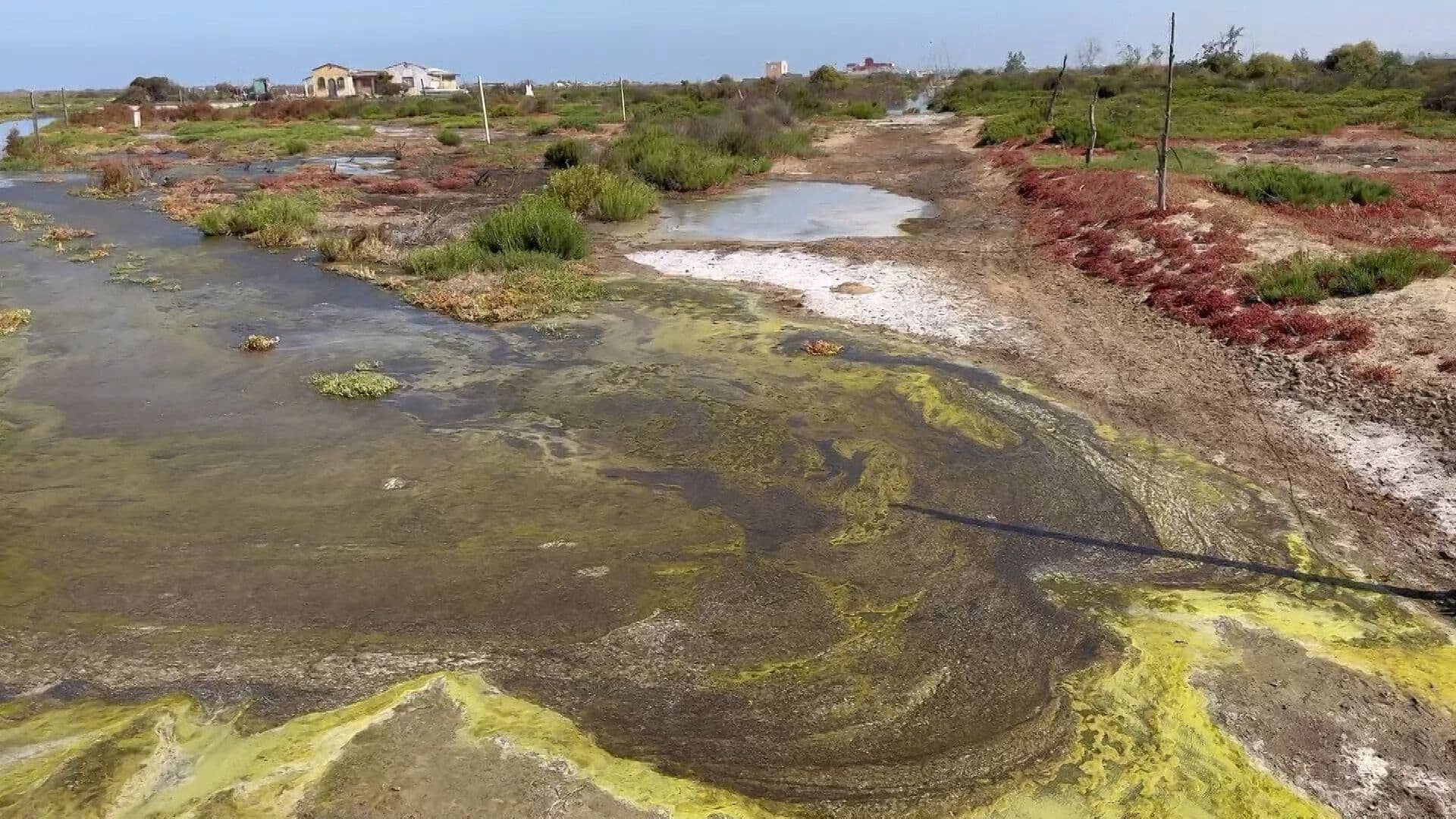 Fuga de Aguas Negras Genera Riesgos Sanitarios en Costa Azul, Ensenada