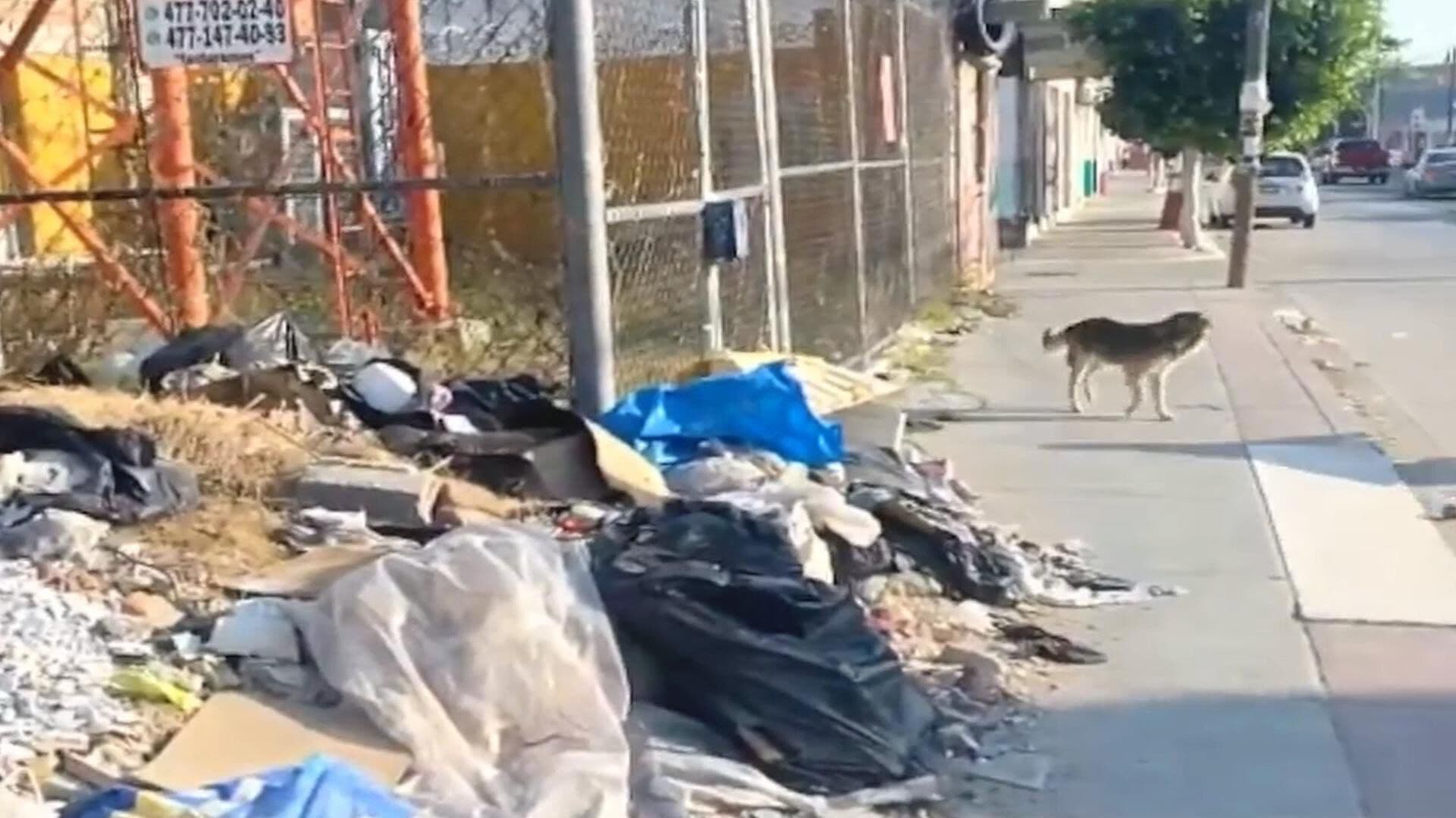 Vecinos de Villa de León Denuncian Tiradero de Basura en los Predios de la Zona