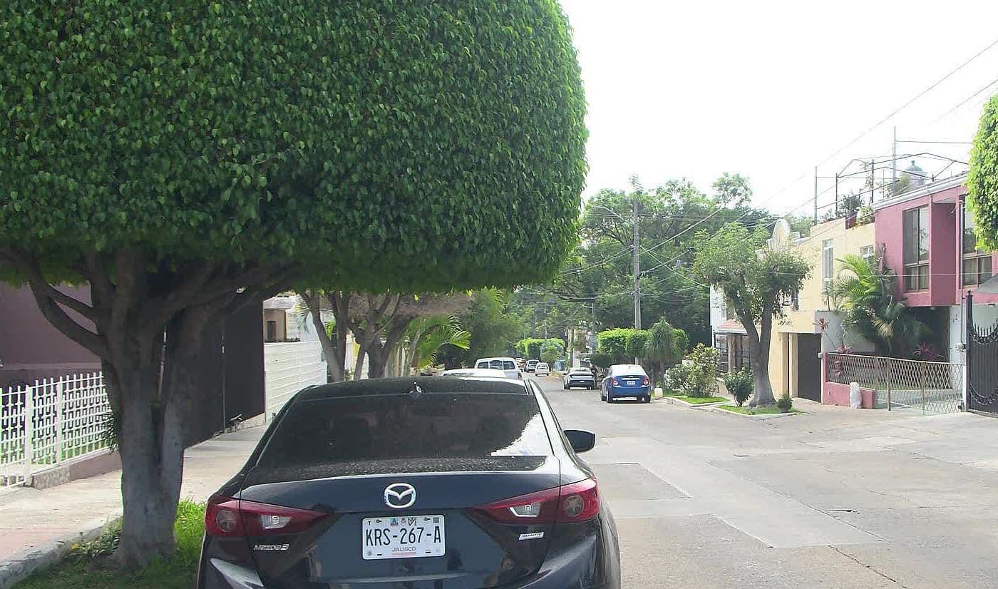 Vinculan A Hombre Que Asesinó A Su Madre En Colinas De La Normal, Guadalajara