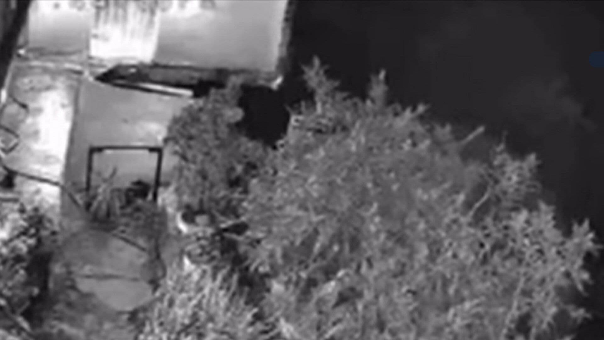 VIDEO: Cámara de Seguridad Capta el Momento del Deslave en Lomas del Chamizal
