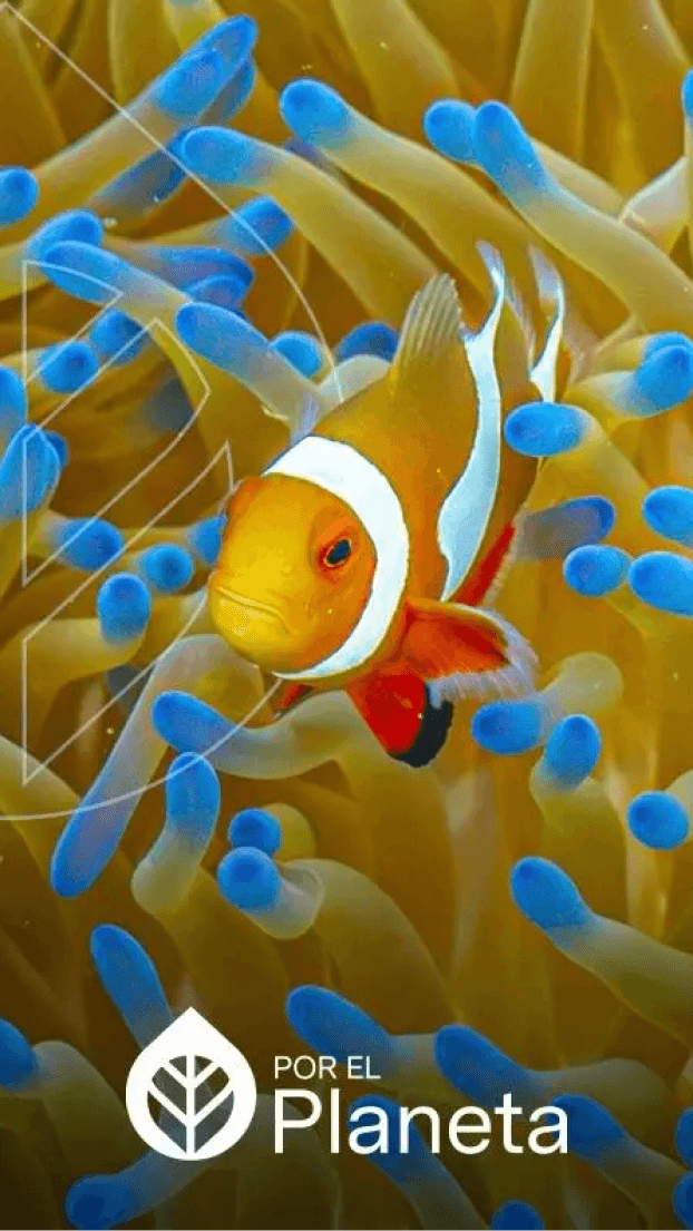 Filipinas: Reinos Sumergidos