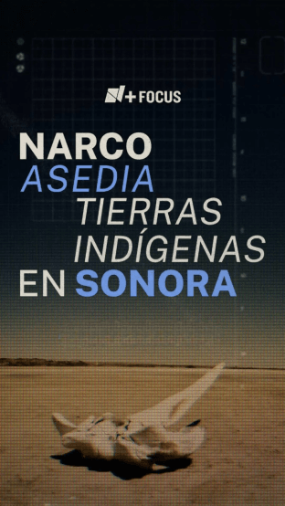 Narco Asedia Tierras Indígenas en Sonora