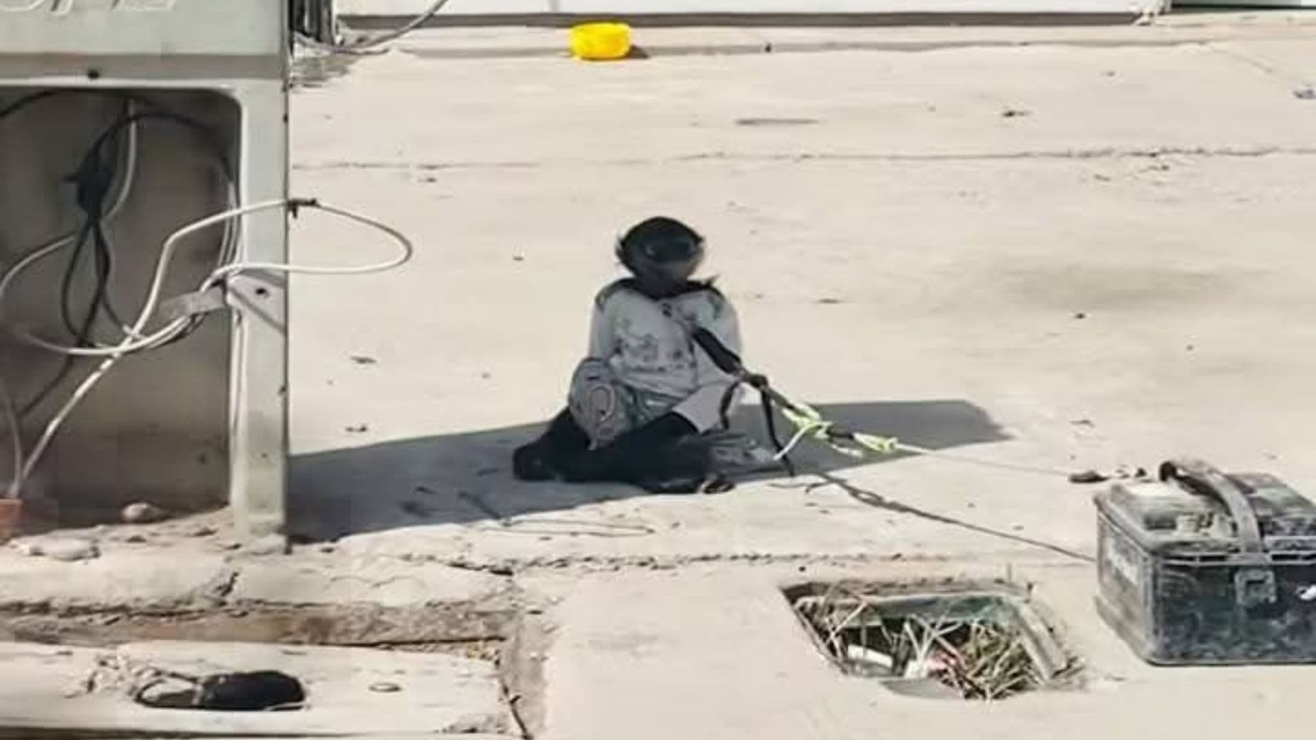 Rescatan Mono Amarrado Bajo el Sol Frente a una Casa en Los Mochis, Sinaloa
