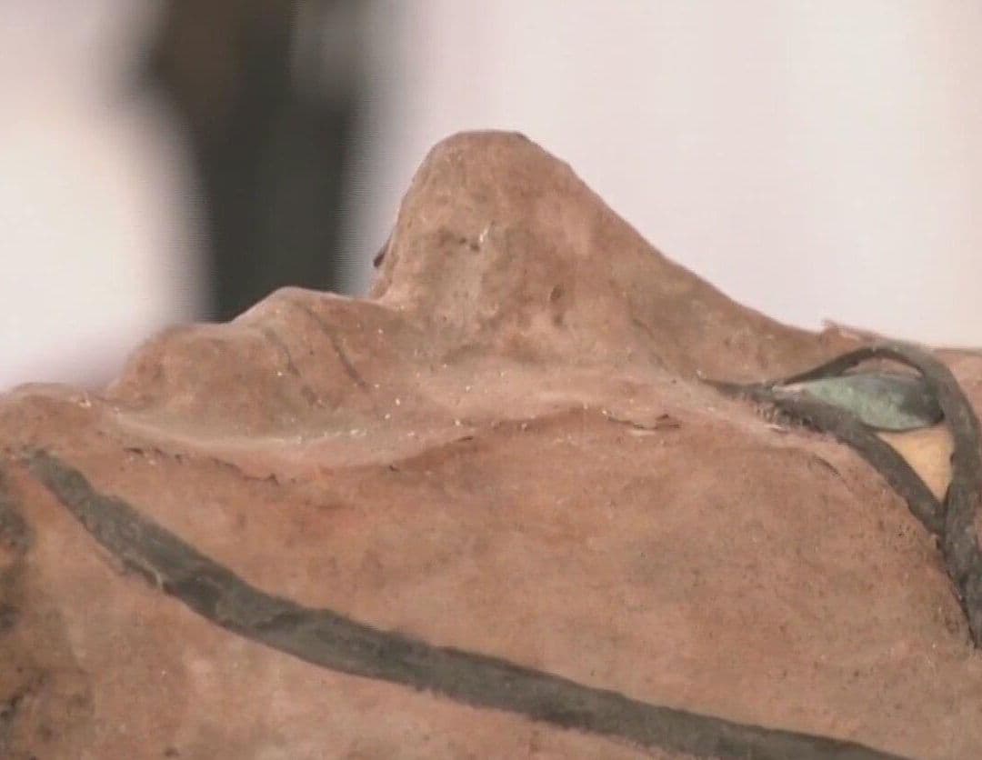 Descubren a qué Huelen las Momias Egipcias