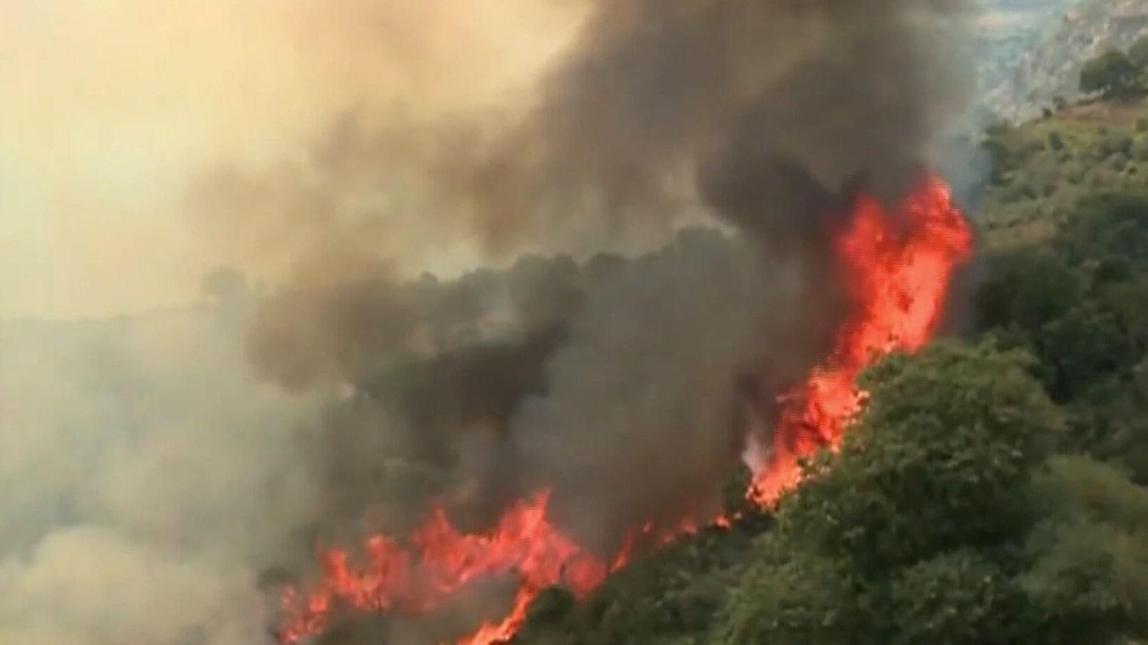 Argelia endurecerá medidas contra quienes provoquen incendios forestales
