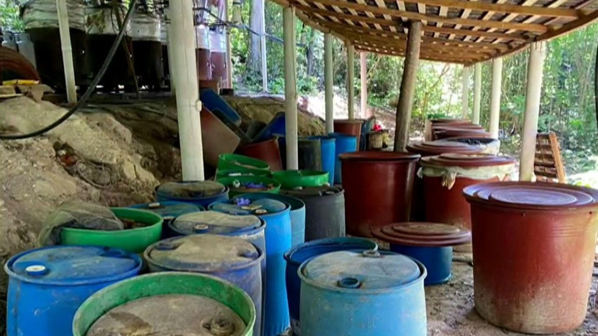Desmantelan Laboratorio para Elaboración de Drogas en Palenque, Chiapas