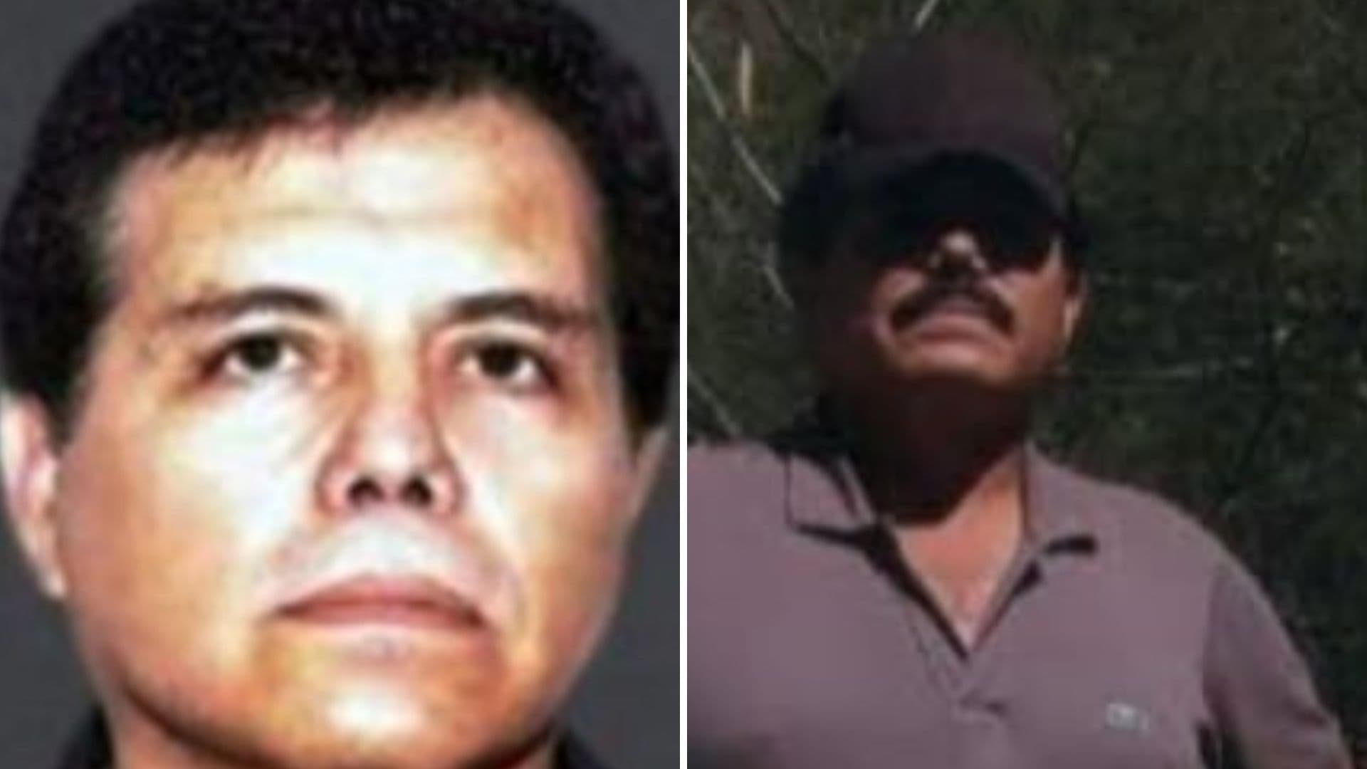 Mayo Zambada: ¿De Cuánto Era la Recompensa que Ofrecía Estados Unidos por su Captura?