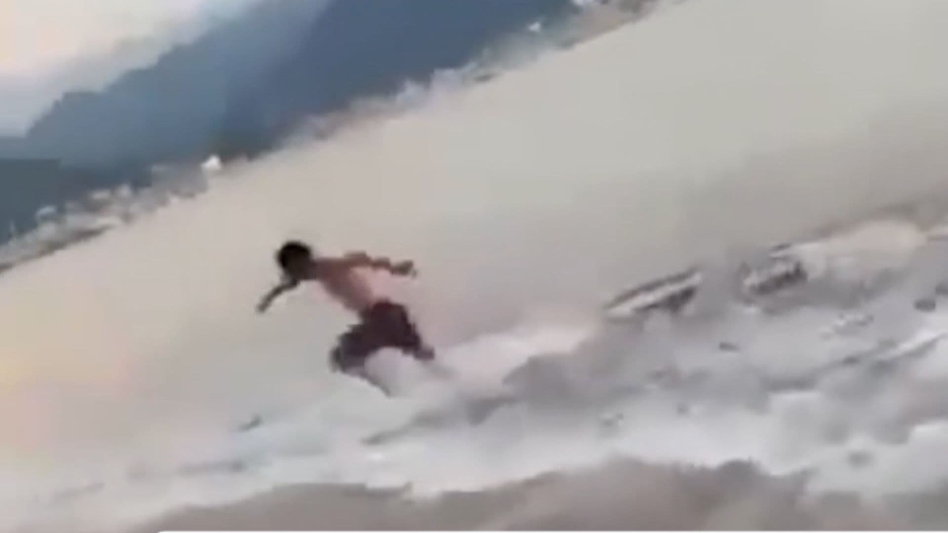 Captan Ataque de Cocodrilo a Turista en Playa de Puerto Vallarta