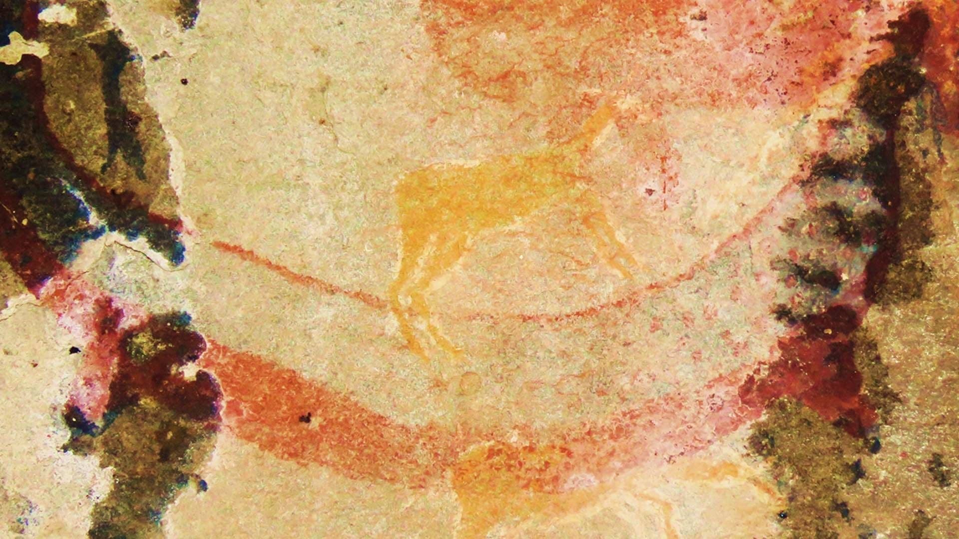 El Enigma de una Pintura Rupestre en Sudáfrica Resurge luego de Más de un Siglo