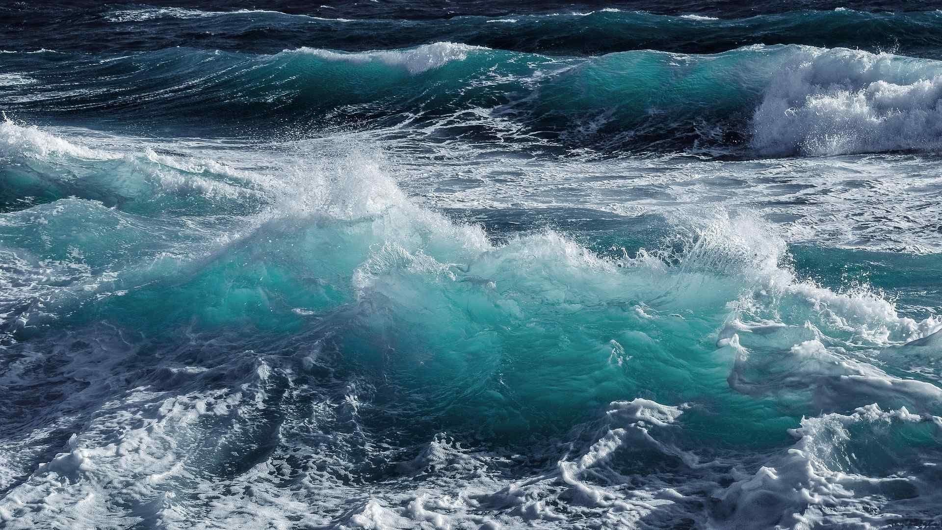¿NASA Dejó de Investigar el Océano? Esto Sabemos de la Exploración Marina y sus Hallazgos
