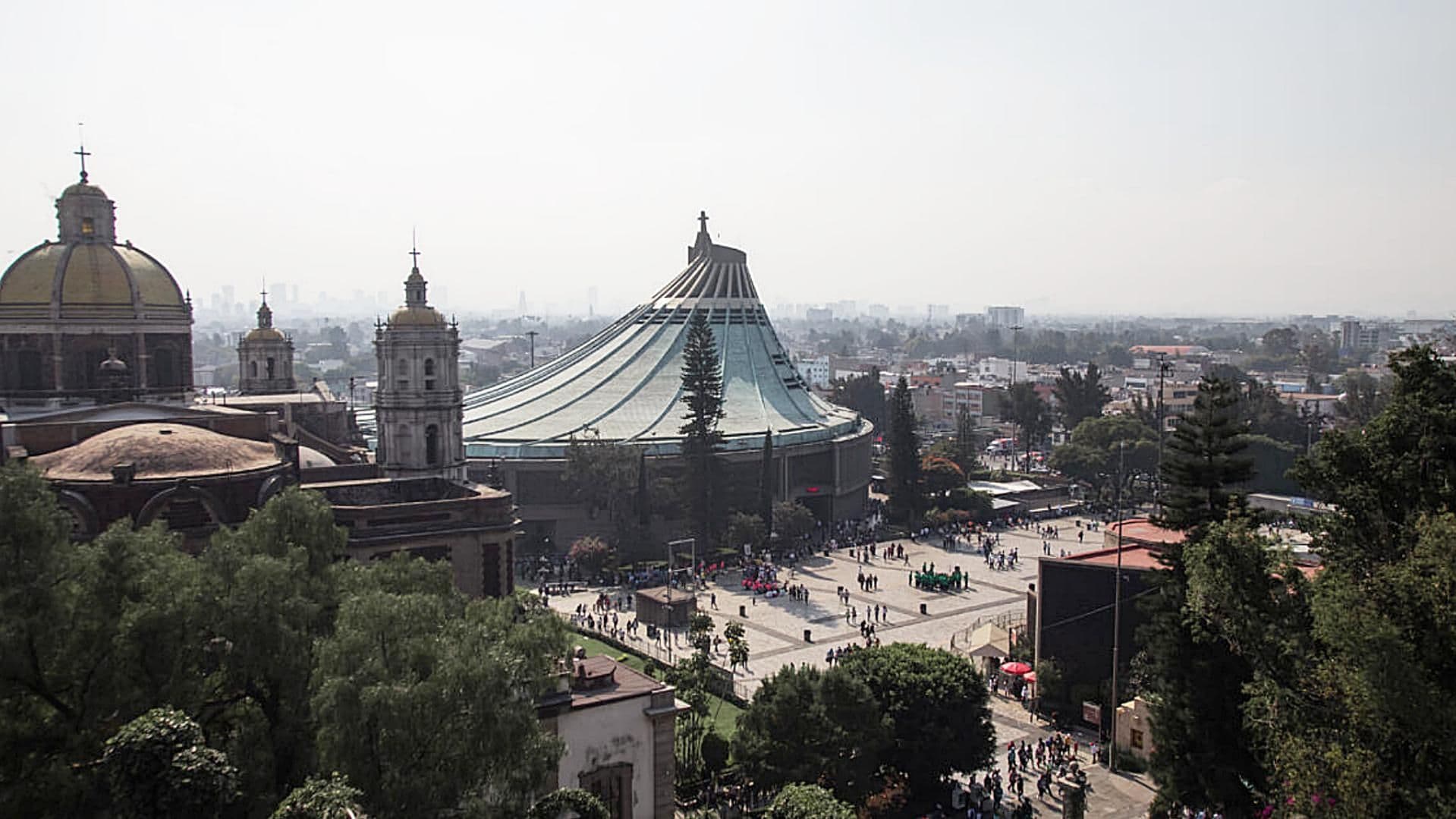 Polymarchs en la Basílica de Guadalupe Hoy: Hora de Participación por 50 Aniversario de La Villa