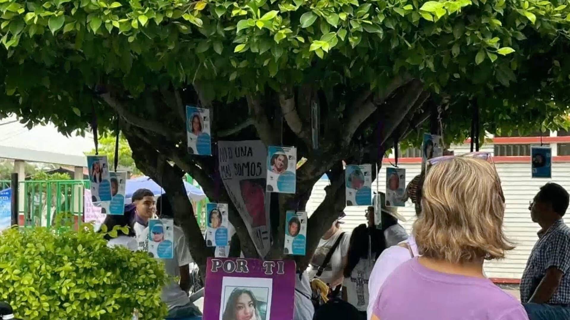 Colectivo Coloca Primer Árbol Memorial Durante el 8M en Papantla, Veracruz
