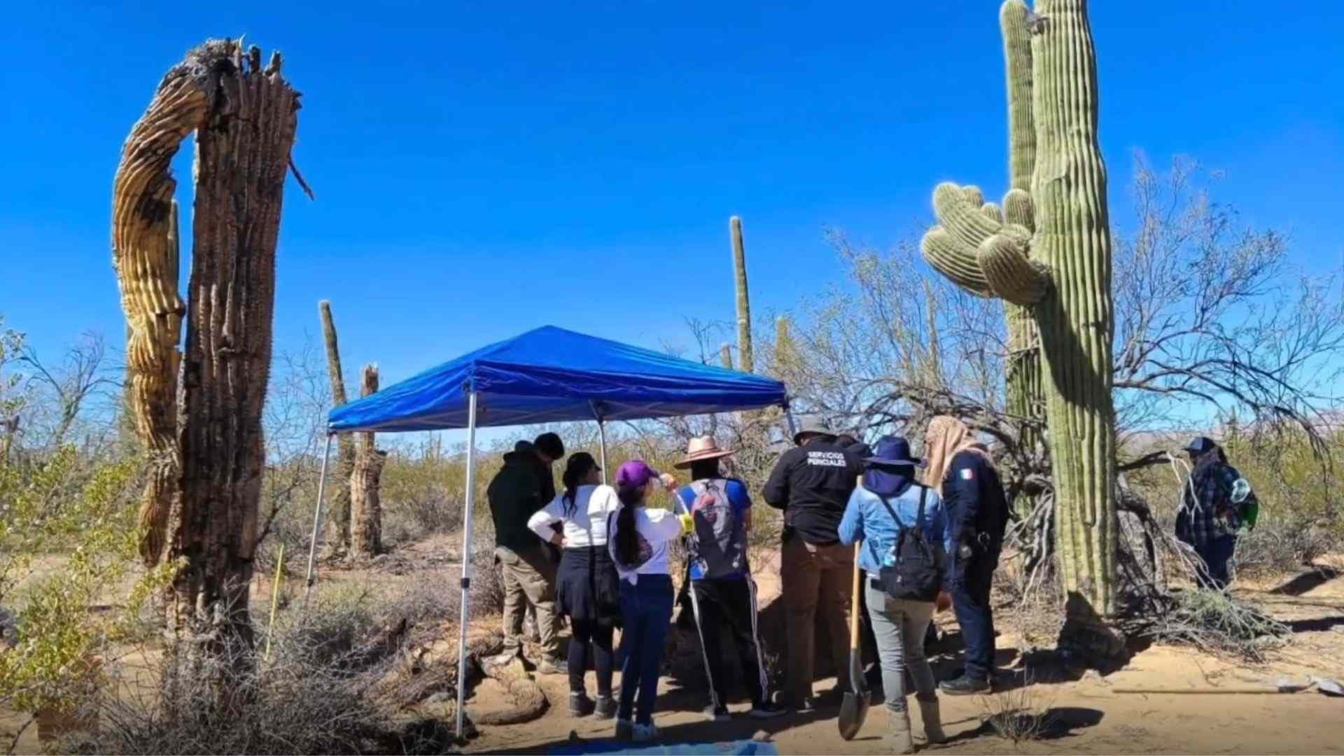 Localizan Más de 16 Fosas Clandestinas en Zona del Desierto de Sonoyta, Sonora