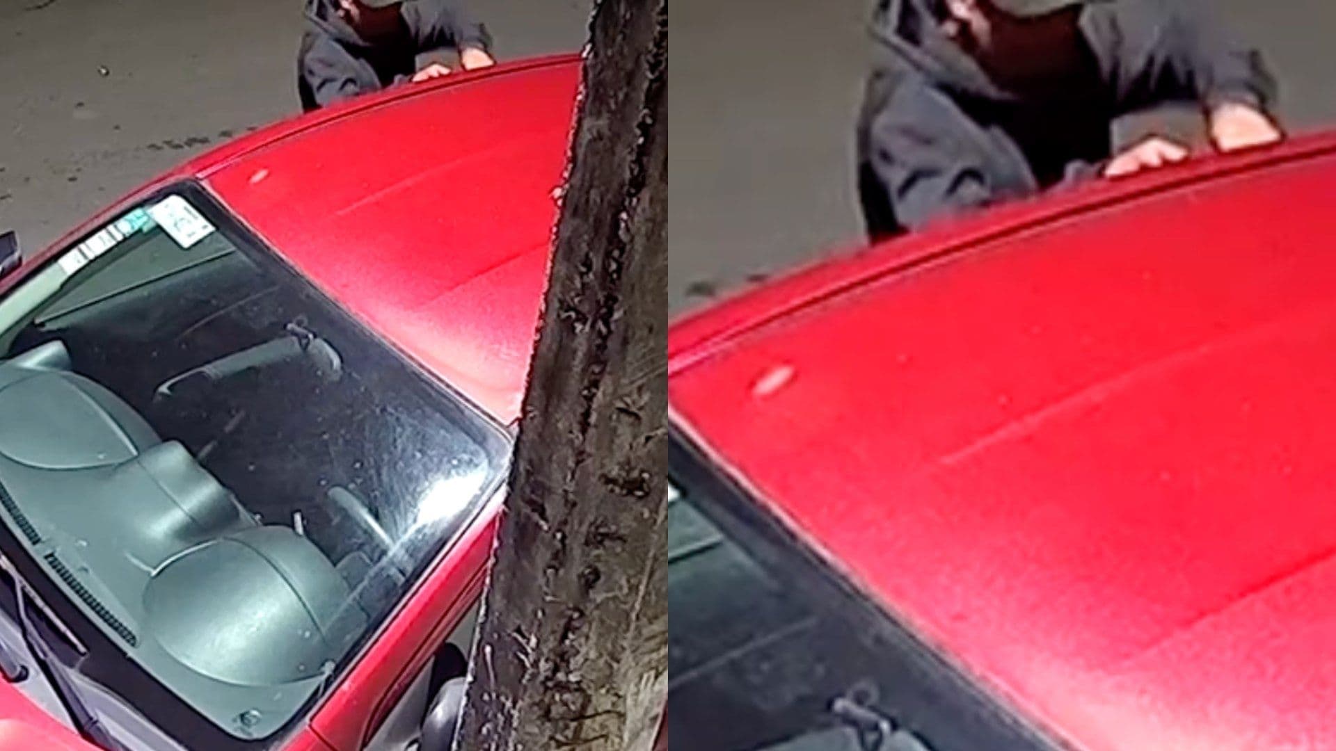 Video: Cámara de Seguridad Capta a Presunto Delincuente Intentando Abrir Automóvil en Fortín