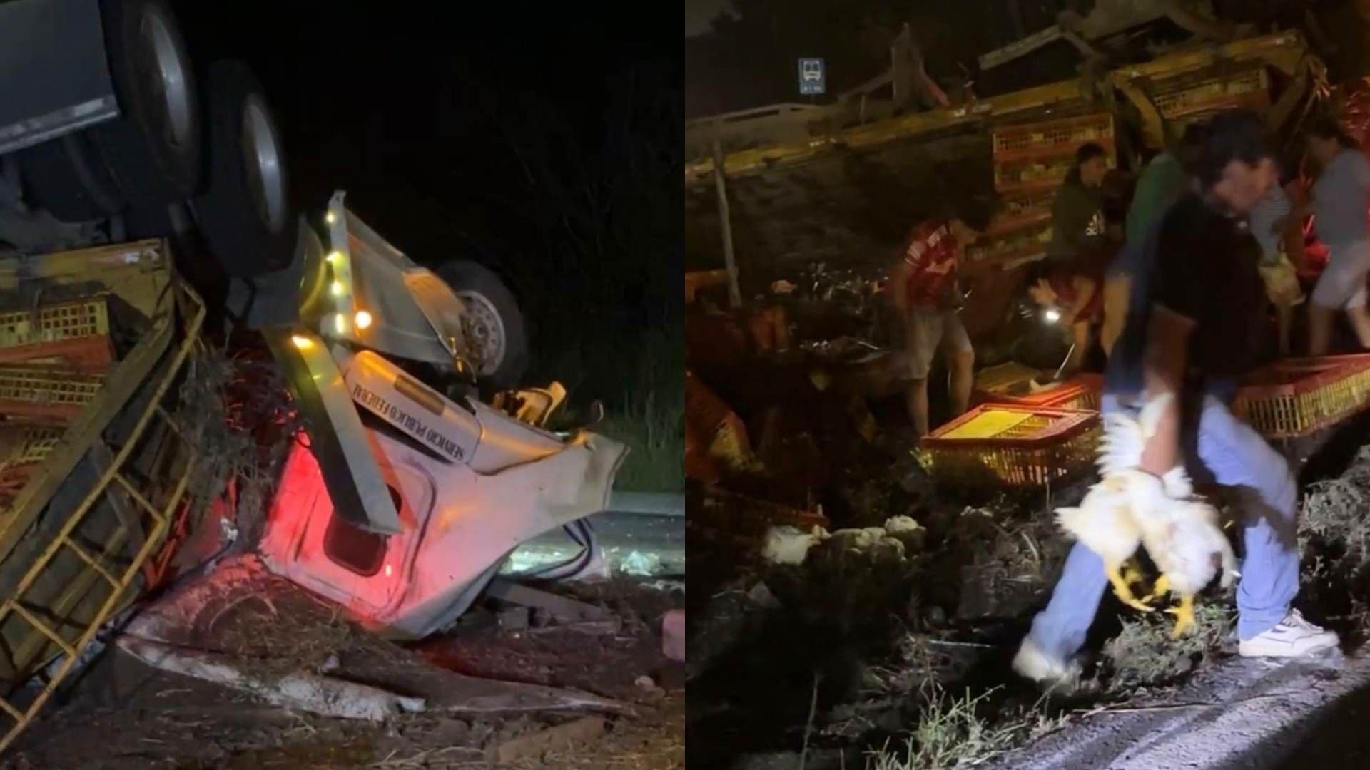 Camión Cargado con Pollos Vuelca en Medellín, Veracruz; Se Reportaron Actos de Rapiña