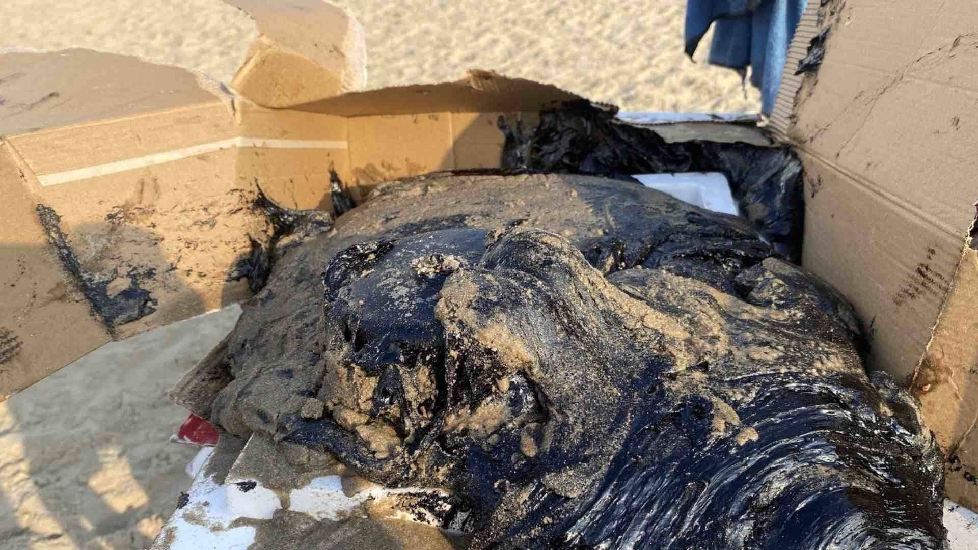 Retiran Hidrocarburo Localizado en Playa Miramar en Ciudad Madero, Tamaulipas