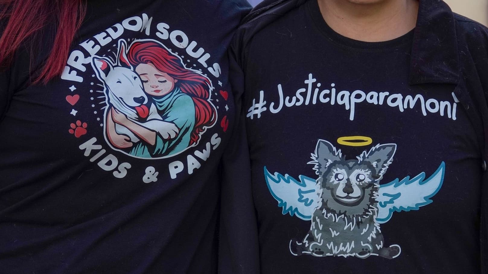 Reducen Condenas por Maltrato Animal y Desatan Protesta Frente a la SCJN en CDMX