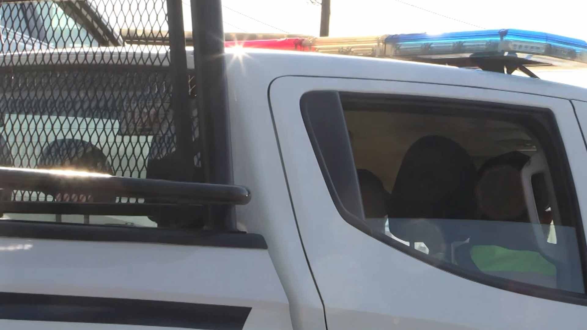 Encuentran a Perra en Estado Crítico entre Basura en Arroyo al Oriente de Saltillo