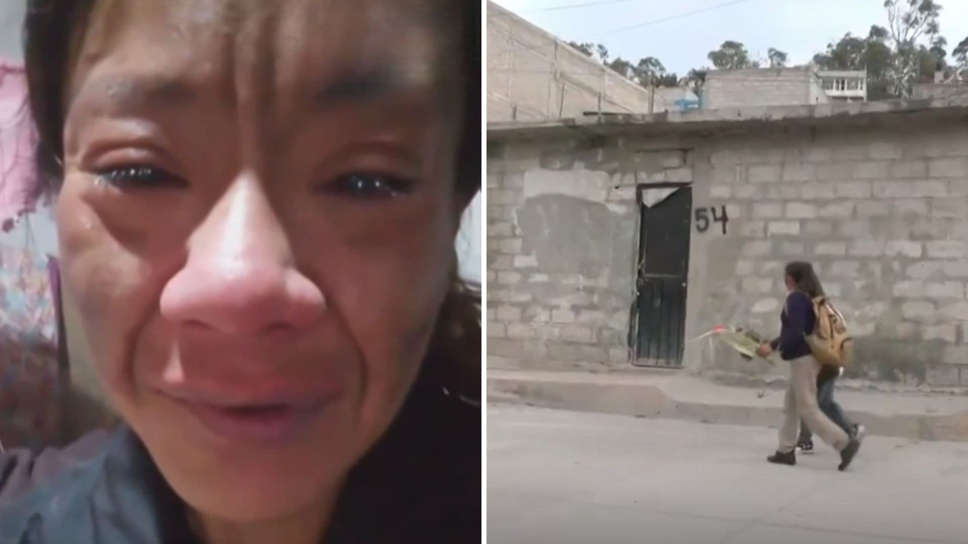 Caso Diana Belén: Detienen a Pareja de Rescatista de Perros Asesinada en Tultitlán, Edomex